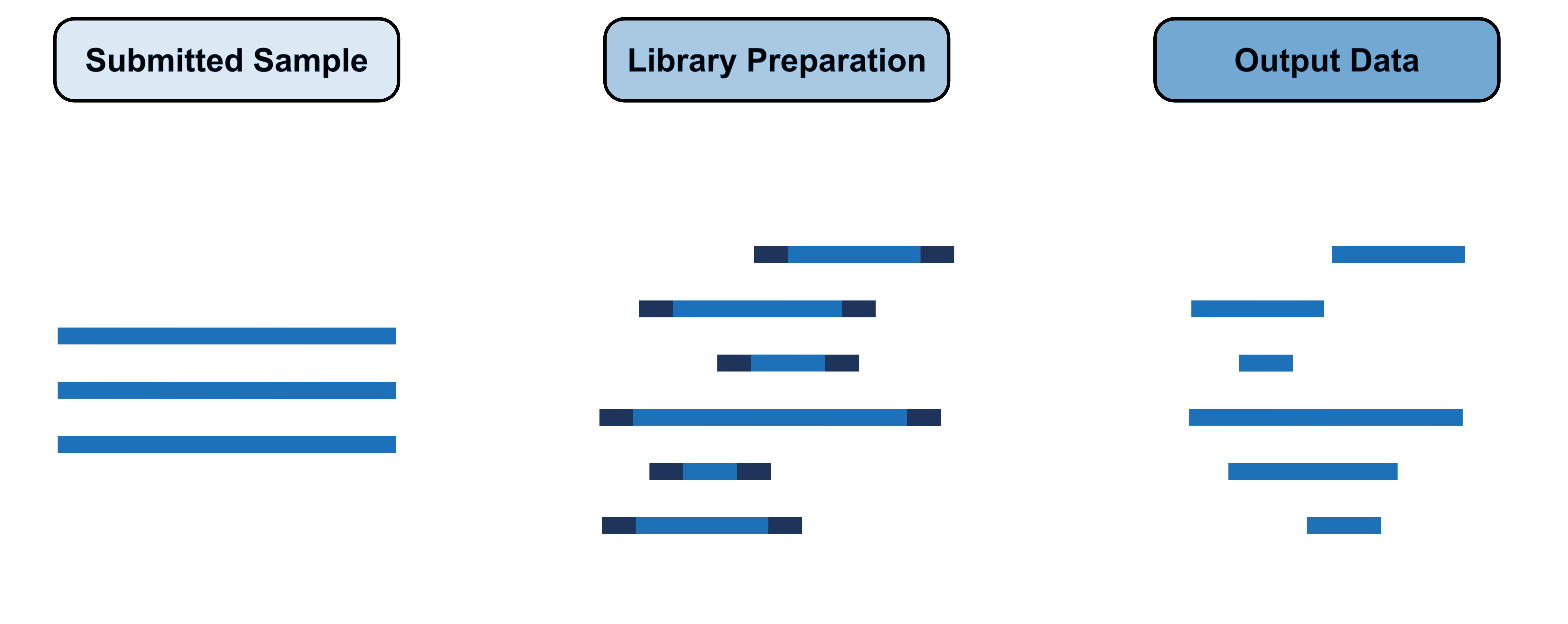 FCL - Amplicon Sequencing