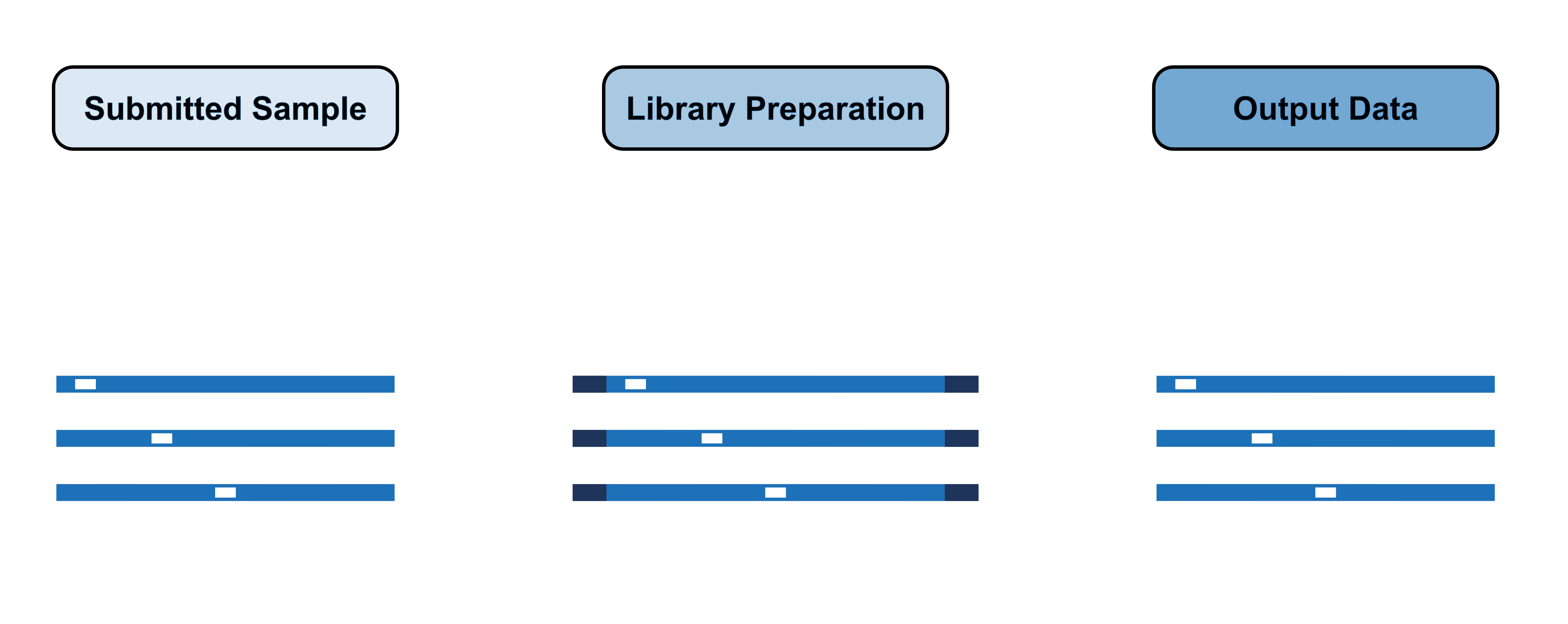 Image showing how library samples are prepared for Nanopore sequencing.